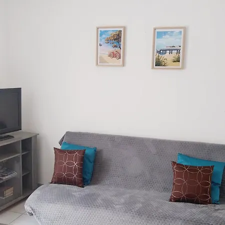 Maison Avec Jardin, 900m Plage, 2 Chambres, Parking Inclus, Animaux Acceptes - - Fr-1-22-173